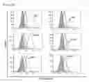 Fig. 32 - Cell-permeable bone morphogenetic protein (CP-BMP) recombinant protein and use thereof