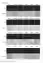Fig. 35 - Cell-permeable bone morphogenetic protein (CP-BMP) recombinant protein and use thereof