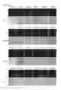 Fig. 41 - Cell-permeable bone morphogenetic protein (CP-BMP) recombinant protein and use thereof