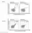 Fig. 20 - Peptides and combination of peptides for use in immunotherapy against various tumors