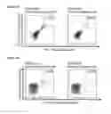 Fig. 59 - Peptides and combination of peptides for use in immunotherapy against various tumors