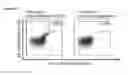 Fig. 62 - Peptides and combination of peptides for use in immunotherapy against various tumors