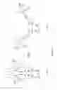 Fig. 06 - Single-chain CD137-receptor agonist proteins