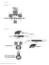Fig. 02 - Method for generating antibodies against T cell receptor