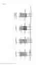 Fig. 09 - Method for generating antibodies against T cell receptor