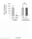 Fig. 07 - MIC-BINDING ANTIBODIES AND METHODS OF USE THEREOF