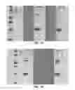 Fig. 07 - Tools and methods for expression of membrane proteins
