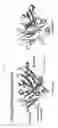 Fig. 04 - CH3 domain variant pair inducing formation of heterodimer of heavy chain constant region of antibody at high efficiency, method for preparing same, and use thereof