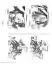 Fig. 06 - CH3 domain variant pair inducing formation of heterodimer of heavy chain constant region of antibody at high efficiency, method for preparing same, and use thereof
