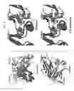 Fig. 08 - CH3 domain variant pair inducing formation of heterodimer of heavy chain constant region of antibody at high efficiency, method for preparing same, and use thereof