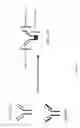 Fig. 02 - MULTI-SPECIFIC MONOCLONAL ANTIBODIES