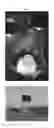 Fig. 06 - Compositions and methods of promoting organic photocatalysis