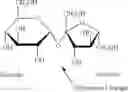 Fig. 08 - POLYESTER POLYOLS FROM RECYCLED POLYMERS AND WASTE STREAMS