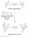 Fig. 01 - Method of forming of a robust network of epoxy material through Diels-Alder reaction