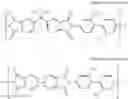 Fig. 09 - Poly(amide-imide) copolymer, method of manufacturing the same, poly(amide-imide) copolymer film, window for display device, and display device
