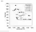 Fig. 02 - Super absorbent polymer granules and preparation method thereof
