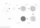 Fig. 02 - Polymer substrates formed from carboxy functional acrylamide