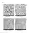 Fig. 02 - Process for preparing thermoplastic elastomer foam and foamed article
