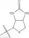 Fig. 35 - Phenylethynylnaphthalene dyes and methods for their use