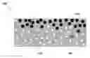 Fig. 01 - Polymer-liquid composites for improved anti-fouling performance