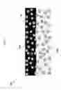 Fig. 02 - Polymer-liquid composites for improved anti-fouling performance