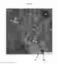 Fig. 05 - Polymer-liquid composites for improved anti-fouling performance