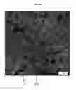 Fig. 06 - Polymer-liquid composites for improved anti-fouling performance
