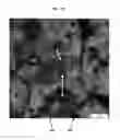 Fig. 07 - Polymer-liquid composites for improved anti-fouling performance