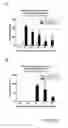 Fig. 09 - Modified gram positive bacteria and uses thereof