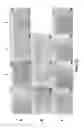 Fig. 08 - Defined three dimensional microenvironment for cell culture