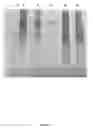 Fig. 02 - Method for injectable delivery of a therapeutic agent into a fish embryo