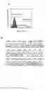 Fig. 02 - Multipotential Expanded Mesenchymal Precursor Cell Progeny (MEMP) and Uses Thereof
