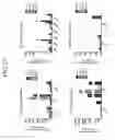 Fig. 33 - Methods for Neural Conversion of Human Embryonic Stem Cells