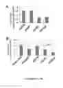 Fig. 06 - METHOD FOR GENERATING BETA CELLS