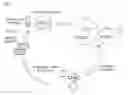 Fig. 04 - ENZYMES