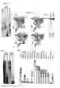 Fig. 09 - ENZYMES
