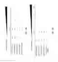 Fig. 28 - Evolution of TALENs