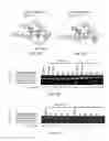 Fig. 35 - Evolution of TALENs
