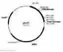 Fig. 01 - Compositions for degrading cellulosic material