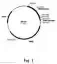 Fig. 02 - Compositions for degrading cellulosic material