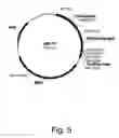 Fig. 06 - Compositions for degrading cellulosic material
