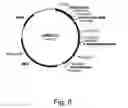 Fig. 07 - Compositions for degrading cellulosic material