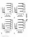 Fig. 20 - Hybrid tRNA/pre-miRNA molecules and methods of use