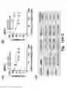 Fig. 22 - Hybrid tRNA/pre-miRNA molecules and methods of use