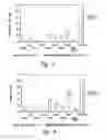 Fig. 06 - UNA oligomers for therapeutics with prolonged stability