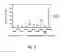 Fig. 08 - UNA oligomers for therapeutics with prolonged stability