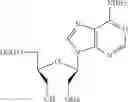 Fig. 10 - UNA oligomers for therapeutics with prolonged stability