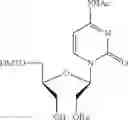 Fig. 13 - UNA oligomers for therapeutics with prolonged stability