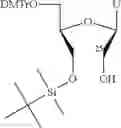 Fig. 19 - UNA oligomers for therapeutics with prolonged stability