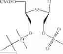 Fig. 20 - UNA oligomers for therapeutics with prolonged stability